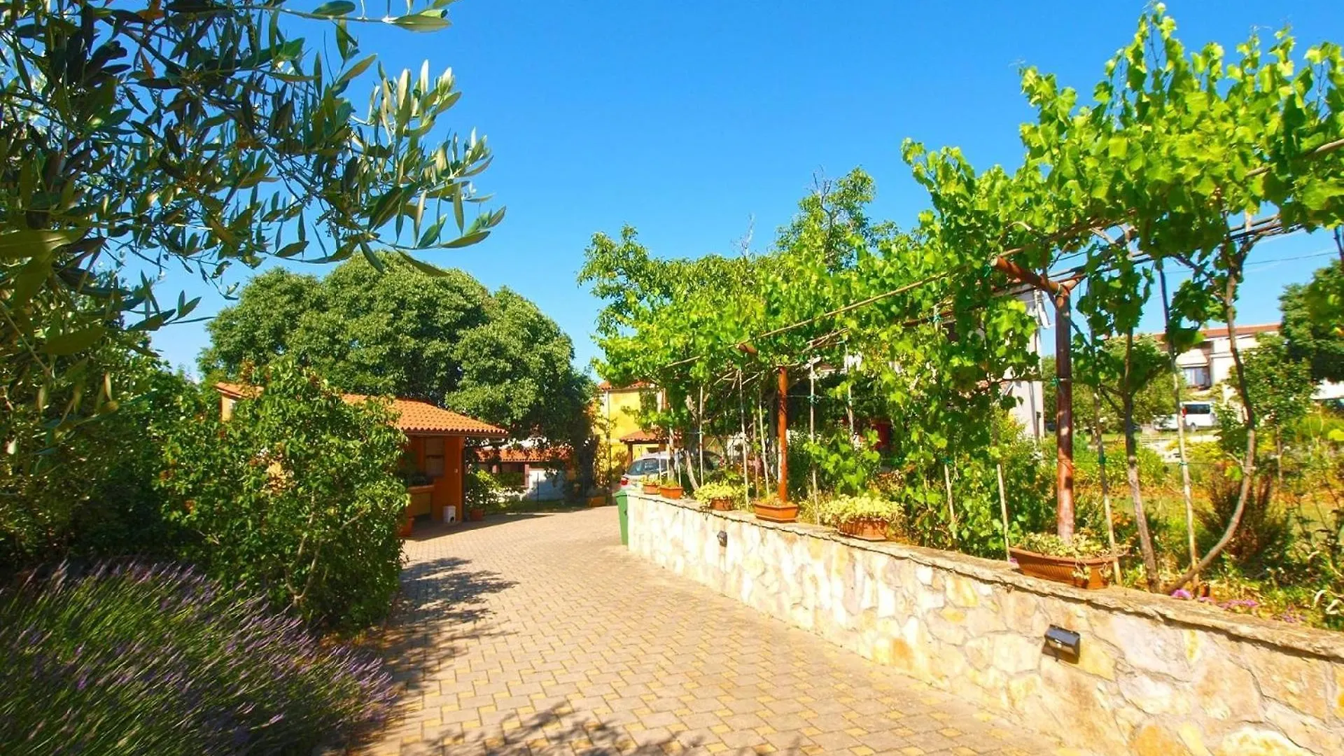 Ferienwohnung Fuer 3 Personen Ca 33 Qm In Pomer, Istrien Istrische Riviera 0*, Pomer Croatia